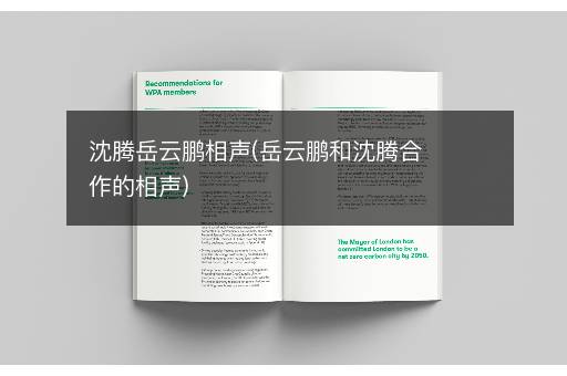 沈腾岳云鹏相声(岳云鹏和沈腾合作的相声)