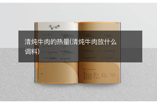 清炖牛肉的热量(清炖牛肉放什么调料)