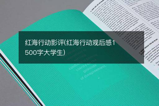 红海行动影评(红海行动观后感1500字大学生)