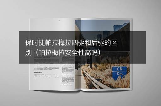 保时捷帕拉梅拉四驱和后驱的区别（帕拉梅拉安全性高吗）