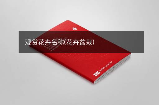 观赏花卉名称(花卉盆栽)