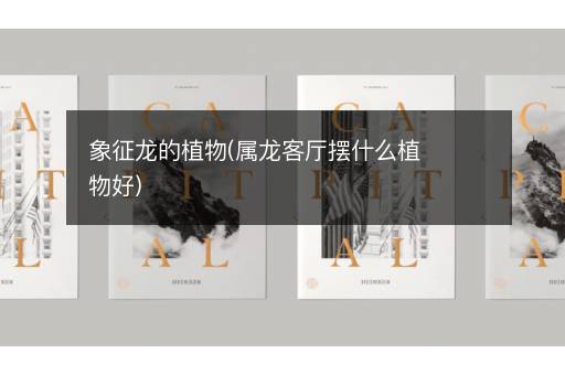 象征龙的植物(属龙客厅摆什么植物好)