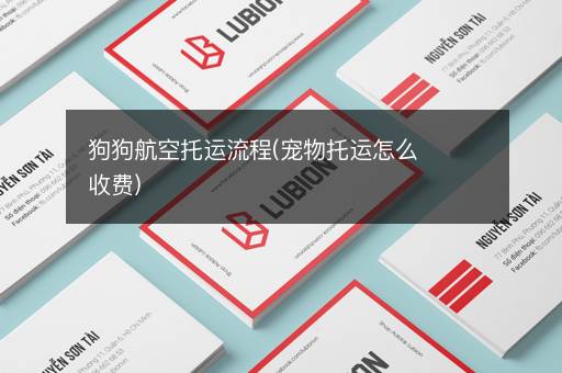 狗狗航空托运流程(宠物托运怎么收费)