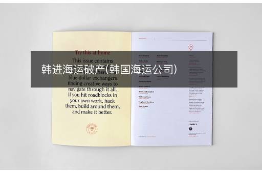 韩进海运破产(韩国海运公司)