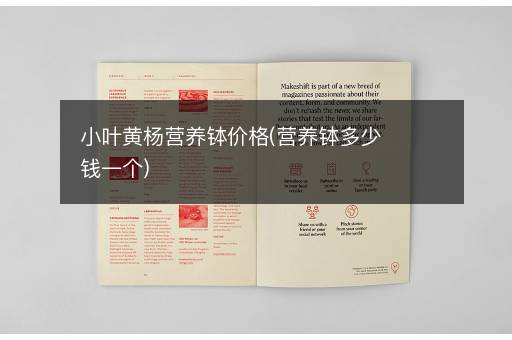 小叶黄杨营养钵价格(营养钵多少钱一个)