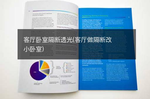 客厅卧室隔断透光(客厅做隔断改小卧室)