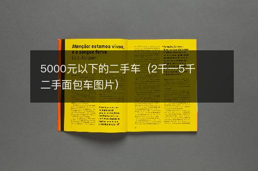 5000元以下的二手车（2千一5千二手面包车图片）