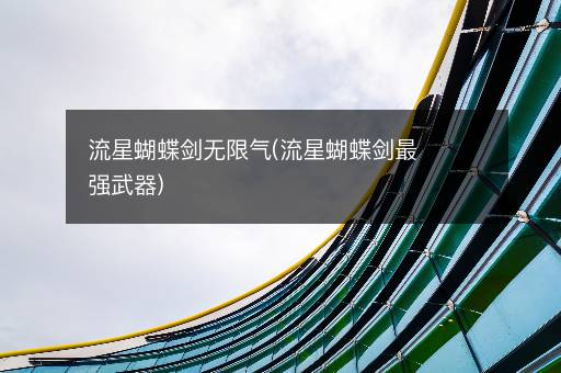 流星蝴蝶剑无限气(流星蝴蝶剑最强武器)