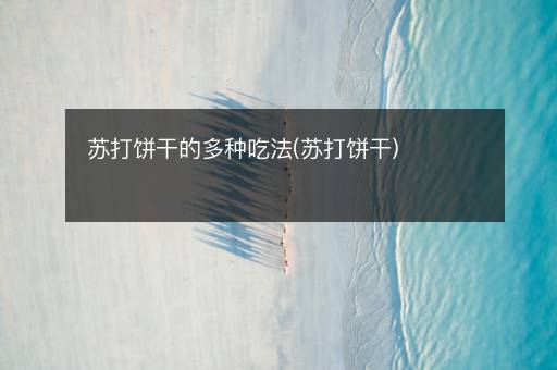 苏打饼干的多种吃法(苏打饼干)