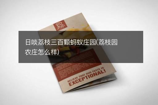 日啖荔枝三百颗蚂蚁庄园(荔枝园农庄怎么样)