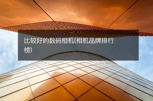 比较好的数码相机(相机品牌排行榜)