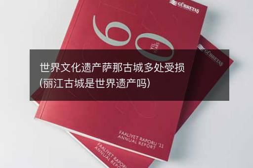 世界文化遗产萨那古城多处受损(丽江古城是世界遗产吗)