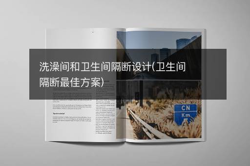 洗澡间和卫生间隔断设计(卫生间隔断最佳方案)