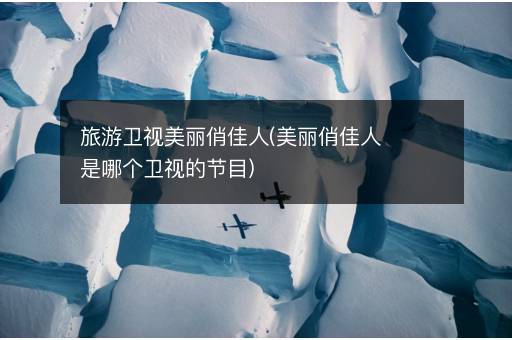 旅游卫视美丽俏佳人(美丽俏佳人是哪个卫视的节目)