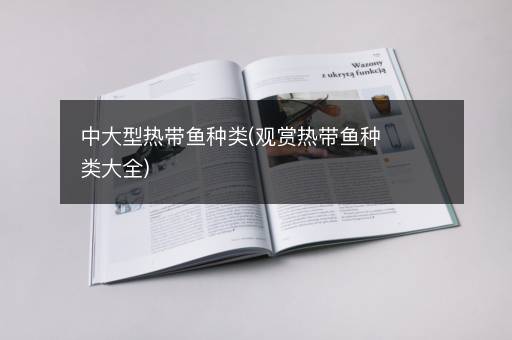 中大型热带鱼种类(观赏热带鱼种类大全)