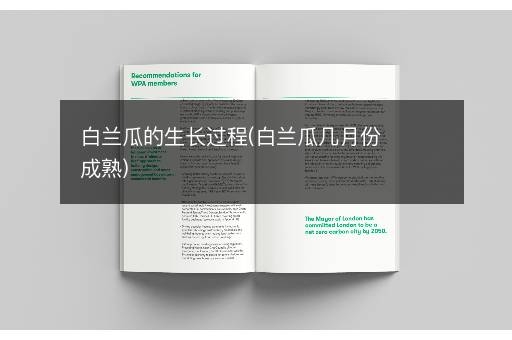 白兰瓜的生长过程(白兰瓜几月份成熟)