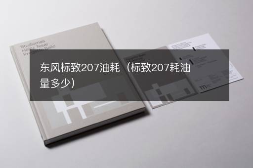 东风标致207油耗（标致207耗油量多少）