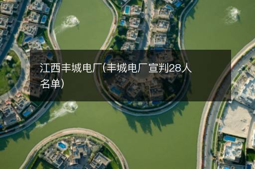 江西丰城电厂(丰城电厂宣判28人名单)