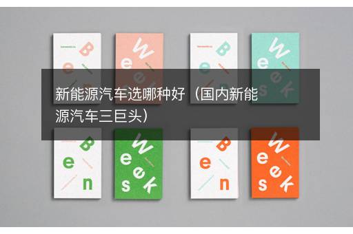 新能源汽车选哪种好（国内新能源汽车三巨头）