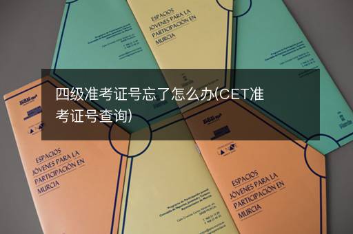 四级准考证号忘了怎么办(CET准考证号查询)