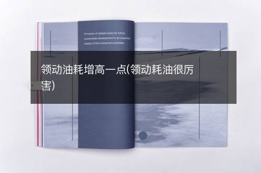 领动油耗增高一点(领动耗油很厉害)